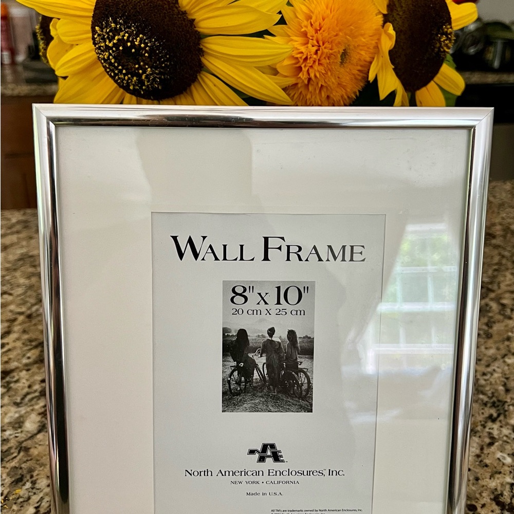 Silver Wall Frame
